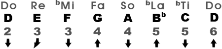 Natural Minor Scale in the Key of Dm